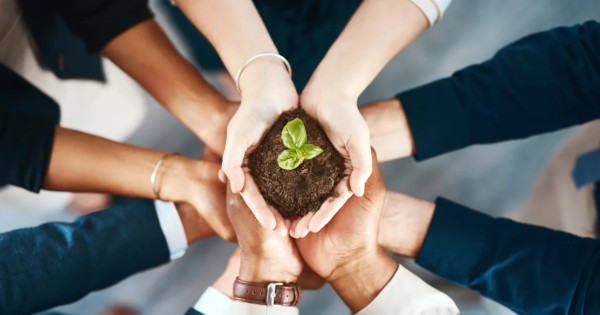 Les hébergeurs web les plus verts et écoresponsables en 2025