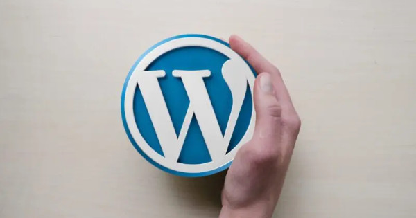 Les meilleurs hébergeurs web en France pour un site WordPress