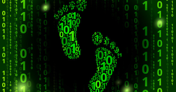 Les meilleurs hébergeurs web pour réduire son empreinte numérique