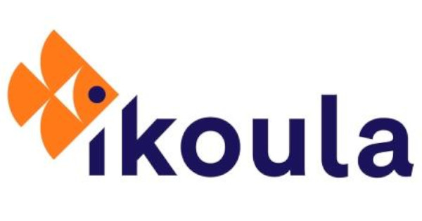 Hébergement web en France : top alternatives à Ikoula