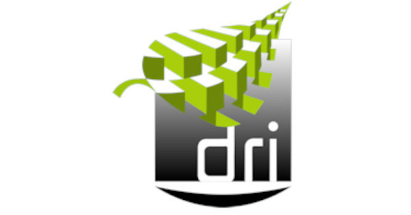 Top alternatives à DRI pour un site web écoresponsable en France