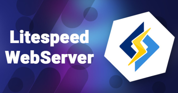 LiteSpeed : l’un des meilleurs serveurs web modernes